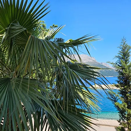 Apartman Villa Jade Apartments Front Row Sea View - Walk To Korcula Old Town Medvinjak