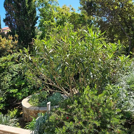 Villa Jade Apartments Front Row Sea View - Walk To Korcula Old Town Medvinjak